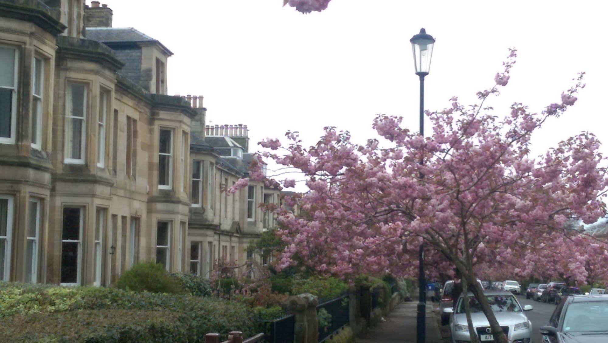 Lochinver Guesthouse Ayr Esterno foto