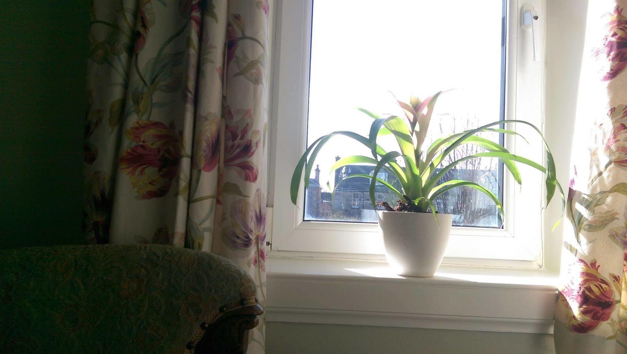 Lochinver Guesthouse Ayr Esterno foto